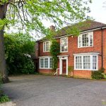 Why a Nile Cruise Is the Best Astronomy Trip You Didn’t Expect