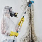 Top Signs You Need Professional Mold Removal Services Immediately