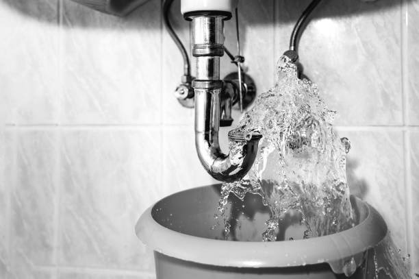 Top 10 Plumbing Contractors Recommended by Homeowners