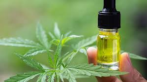 Top Benefits of CBD Oil for Daily Wellness