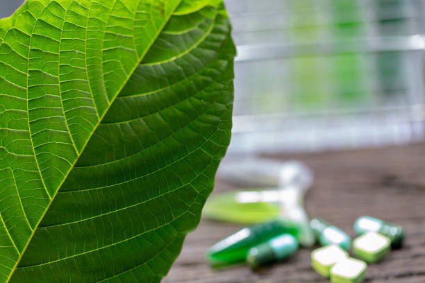 What Makes a Reliable Kratom Online Store