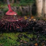 Residential Landscaping Options for Homes in Allen, TX