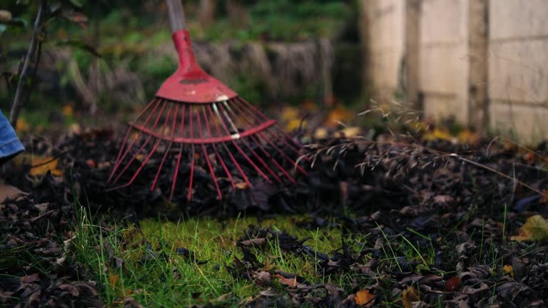 Residential Landscaping Options for Homes in Allen, TX