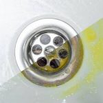 Affordable drain cleaning philadelphia Solutions for Residential and Commercial Properties