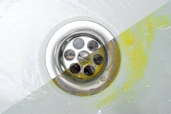 Affordable drain cleaning philadelphia Solutions for Residential and Commercial Properties