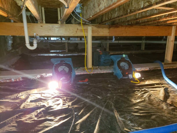 Advanced Crawlspace Waterproofing in Wilmington Techniques