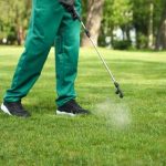 Seasonal Guide to Proper Lawn Treatment Care