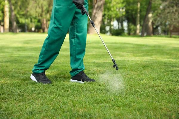 Seasonal Guide to Proper Lawn Treatment Care