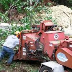 Local Jackson MI Tree Removal Services for Large and Small Trees