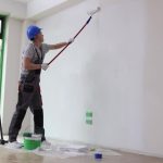 How Professional Tree Services in Rutland Improve Safety