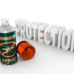 Professional Lawn Care Services Buford for Year-Round Maintenance