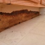 Effective Indianapolis Crawl Space Services for Damp Crawl Spaces