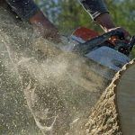 Convenient Tree Service Mobile Options for Property Owners