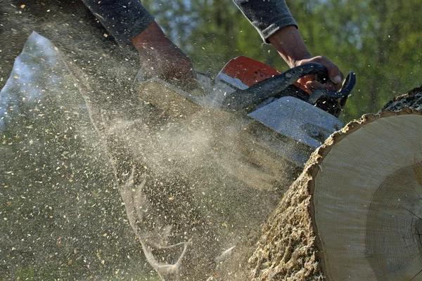 Convenient Tree Service Mobile Options for Property Owners